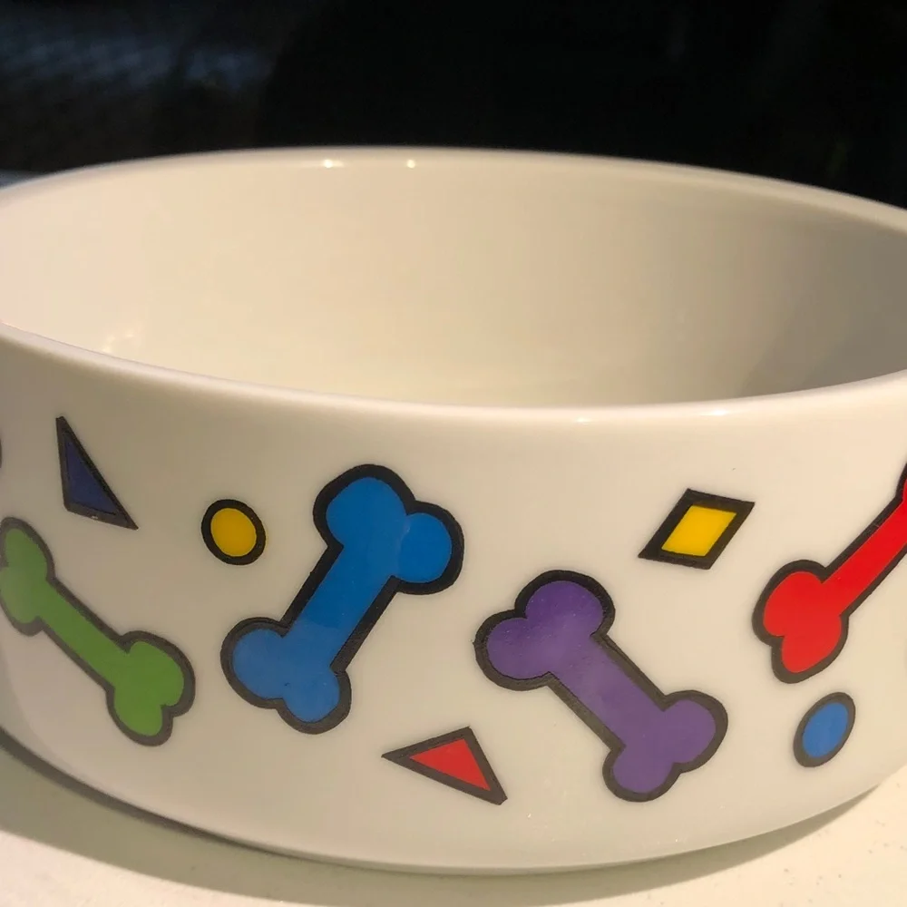 Ceramic large Dog Bowl with Colorful Bone Pattern - White